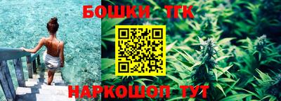 гидра Будённовск