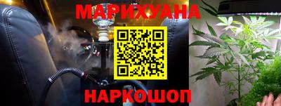 гидра Будённовск