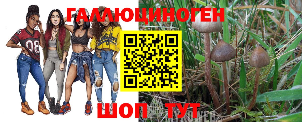 Псилоцибиновые грибы Psilocybine cubensis  Галлюциногенные грибы Psilocybe  Коммунар  Вход с VPN 